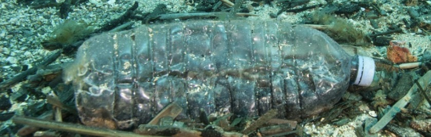 Bouteille en plastique dans la mer