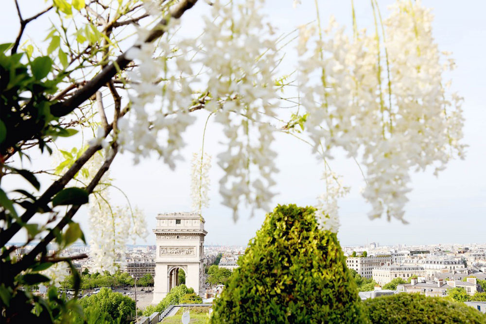 paris - vue sur l'arc de Triomphe