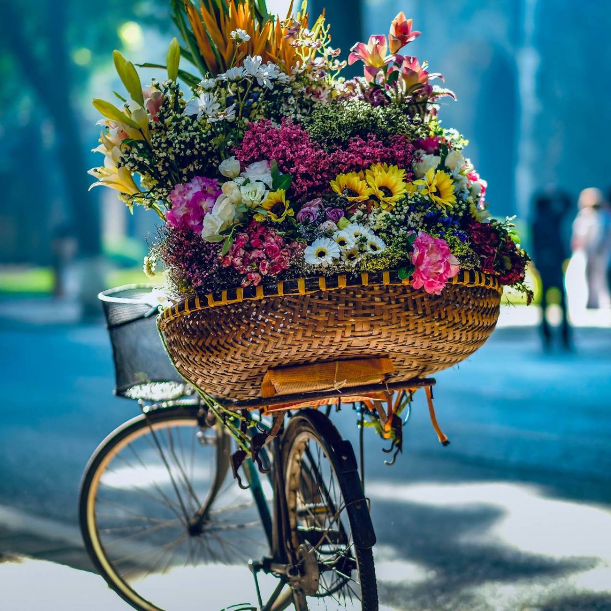Livraison de fleurs à vélo