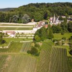 Domaine en Champagne et vignes