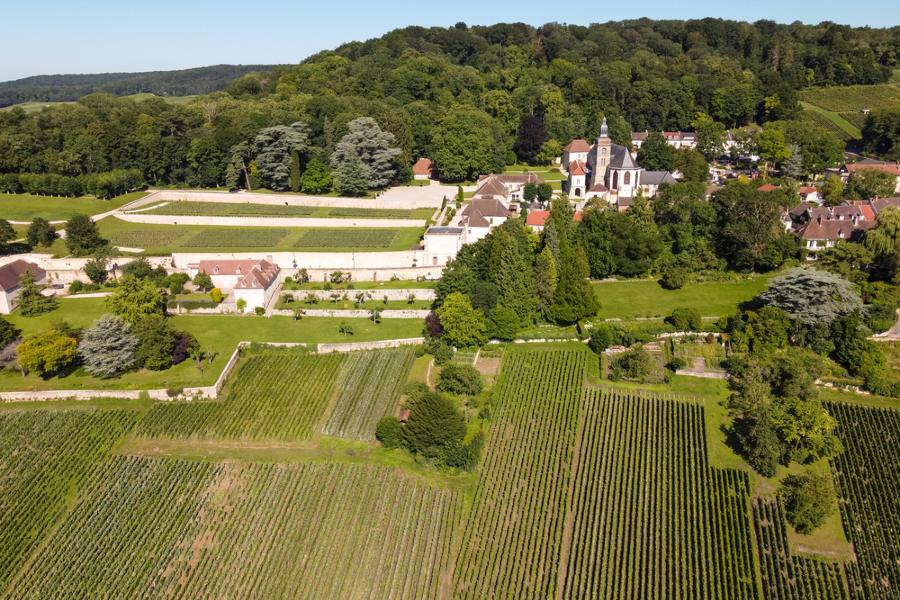 Domaine en Champagne et vignes