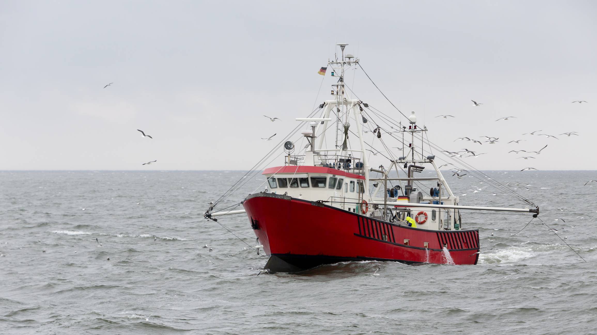 pêche au chalut ; pêche traditionnelle ; quelle méthode de pêche choisir ?