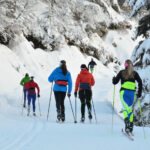 cross country skiing in the snowy forest