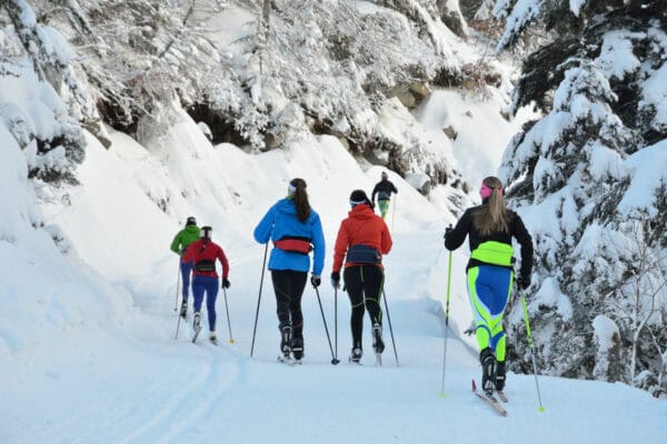 cross country skiing in the snowy forest