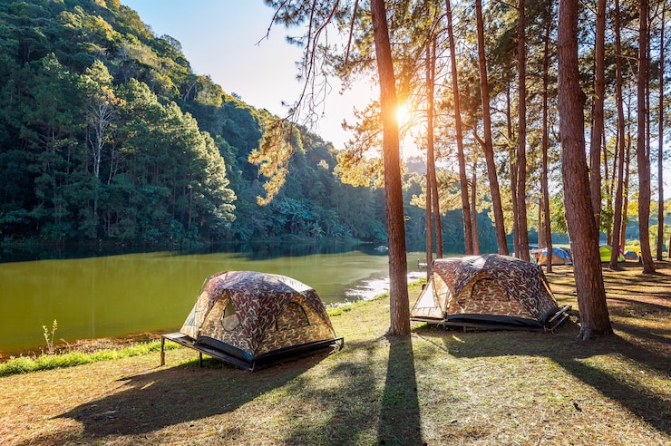 camping aquitaine.