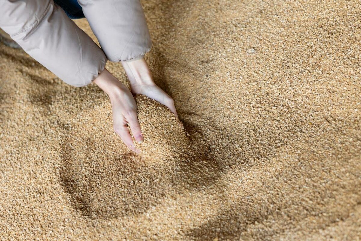 conteneur stockage grain matériel agricole
