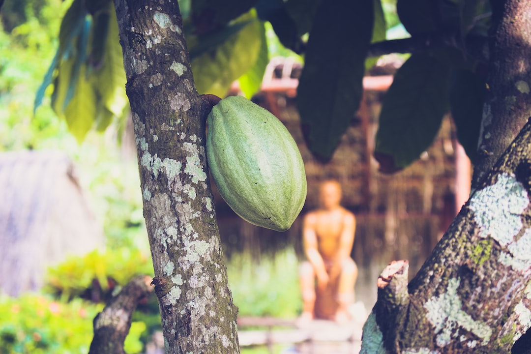 un gâteau patate, un dessert typique de la martinique