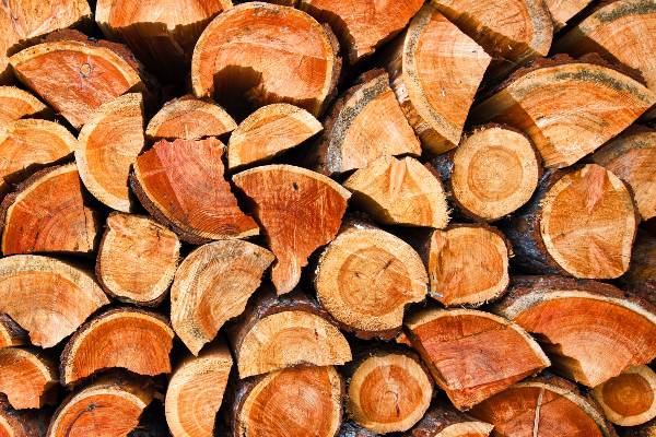 buches de bois sec