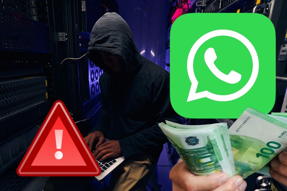 données whatsapp hackées