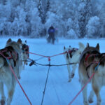Laponie : plongée hivernale au cœur du pays du Père Noël