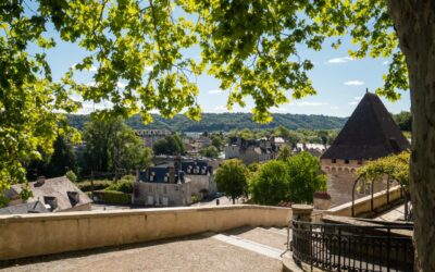 chateau de pau