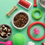 accessoires pour animaux nature morte avec os a macher et jouets 11zon