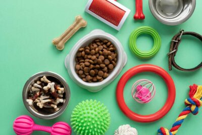 accessoires pour animaux nature morte avec os a macher et jouets 11zon