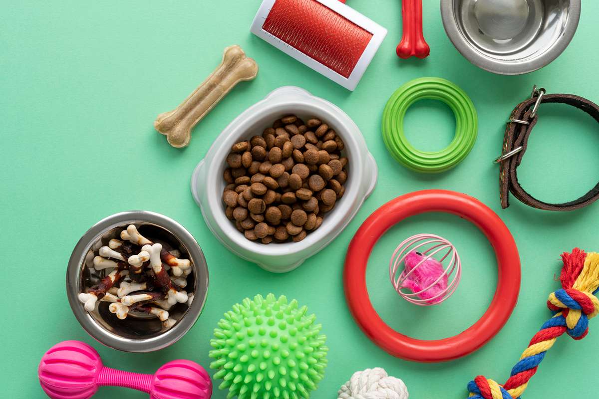 accessoires pour animaux nature morte avec os a macher et jouets 11zon